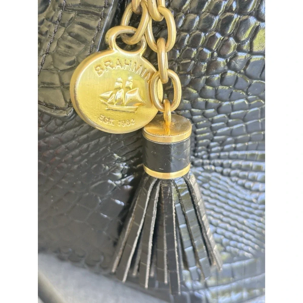 Brahmin mini asher